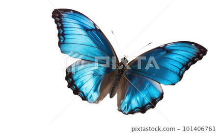 beautiful butterfly isolated on a transparent background. ai generative 101406761