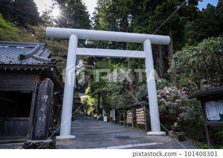 大岩神社的鳥居 101408301