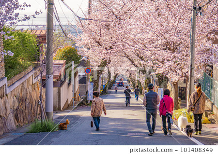 走櫻桃隧道 走櫻桃隧道 101408349