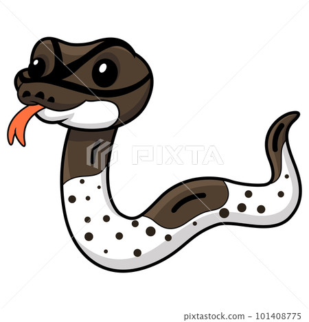 Cute oreo pied ball python cartoon 101408775