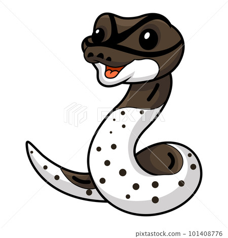 Cute oreo pied ball python cartoon 101408776