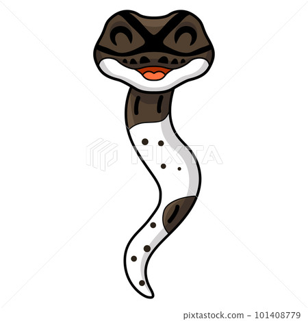 Cute oreo pied ball python cartoon 101408779