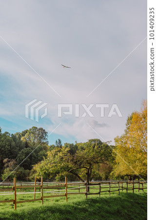 summer medow. beautiful landscape-environmental conservation concepts. Beautiful unusual spring landscape with blooming herbs against the blue sky 101409235