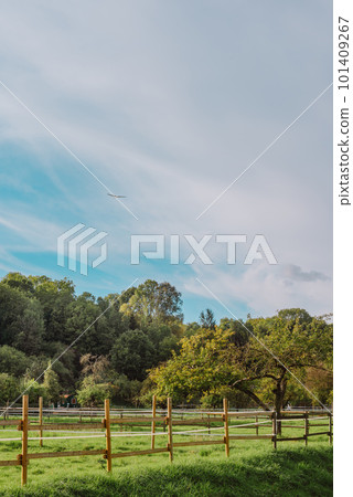 summer medow. beautiful landscape-environmental conservation concepts. Beautiful unusual spring landscape with blooming herbs against the blue sky summer medow. beautiful landscape-environmental conservation concepts. Beautiful unusual spring landscape with blooming herbs against the blue sky 101409267