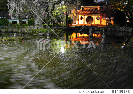 Flower raft in the Sino-Japanese Friendship Garden of Gifu Park with cherry blossoms at night Flower raft in the Sino-Japanese Friendship Garden of Gifu Park with cherry blossoms at night 101409328