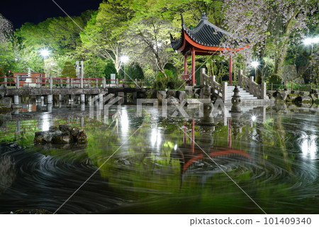 Flower raft in the Sino-Japanese Friendship Garden of Gifu Park with cherry blossoms at night Flower raft in the Sino-Japanese Friendship Garden of Gifu Park with cherry blossoms at night 101409340