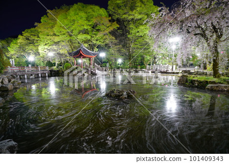 Flower raft in the Sino-Japanese Friendship Garden of Gifu Park with cherry blossoms at night Flower raft in the Sino-Japanese Friendship Garden of Gifu Park with cherry blossoms at night 101409343