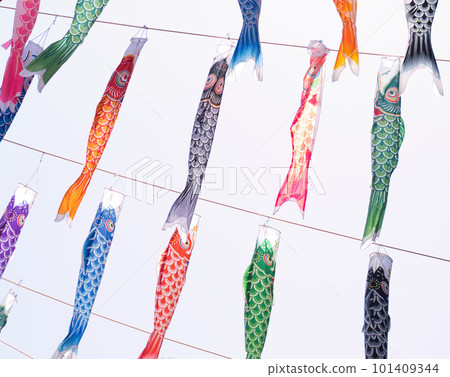 Carp streamer Carp streamer 101409344