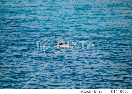 A lone man leisurely floating in the calm sea while snorkeling  101410072