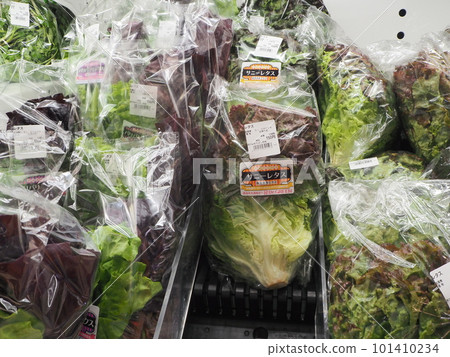 Super vegetable department Super vegetable department 101410234