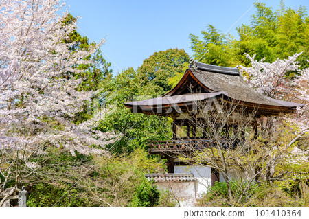 【奈良縣】天理市長覺寺(2023年3月29日拍攝) 【奈良縣】天理市長覺寺(2023年3月29日拍攝) 101410364