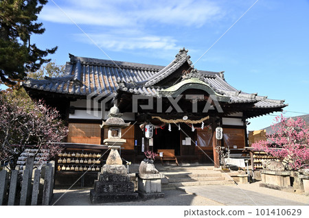 梅花季節的菅原天滿宮 101410629