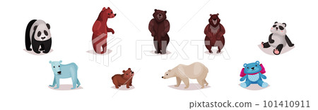 Polar Bear, Panda and Grizzly as Carnivore Animal Vector Set 101410911