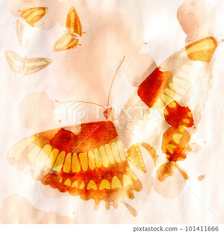 Butterfly on Orange Watercolor Background. Digital Paper with Hand Drawn Butterfly, Moth, Insect. 101411666