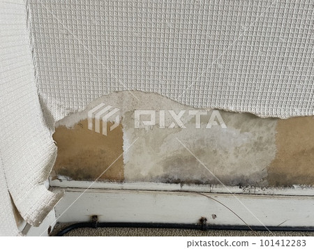 去皮的牆紙 101412283