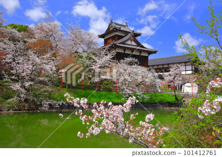 [奈良縣]櫻花盛開的郡山城遺址 101412761