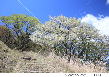 Inatori Hosono Kogen 101413198