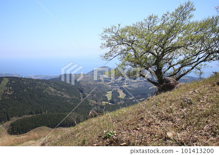 Inatori Hosono Kogen Inatori Hosono Kogen 101413200