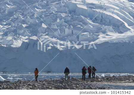 Tourists walking on Antarctic beach, Neko Harbor, Antarctic Peninsula 101415342