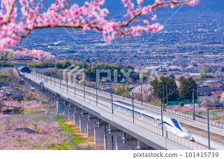 （山梨縣）在桃源峽實驗跑道上行駛的直線電機 101415739