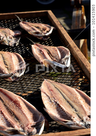 Ibaraki Prefecture Nakaminato Fishing Port Market Ibaraki Prefecture Nakaminato Fishing Port Market 101415903