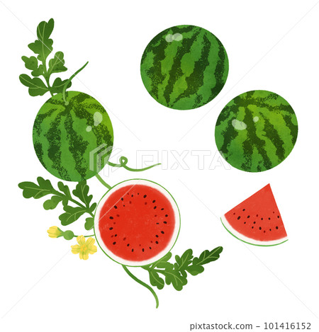 西瓜水彩插圖 2 101416152