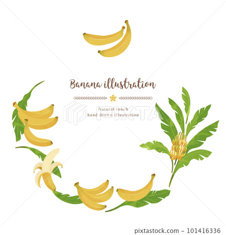 Banana watercolor illustration circle 101416336