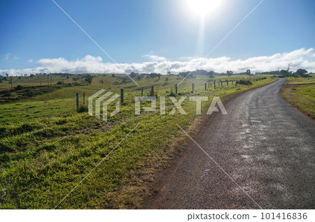 A walk on the Atherton Plateau with refreshing scenery 101416836