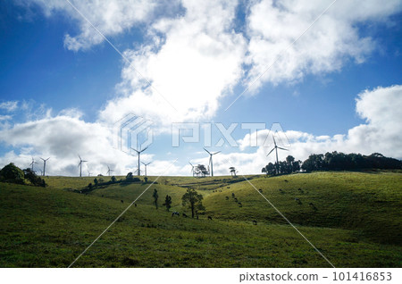 A refreshing view of wind farms on the hills of the Atherton Tablelands A refreshing view of wind farms on the hills of the Atherton Tablelands 101416853