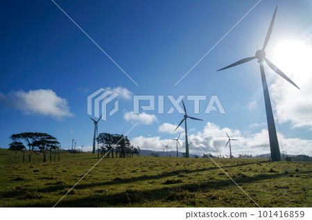 A crisp morning on the Atherton Tablelands A crisp morning on the Atherton Tablelands 101416859