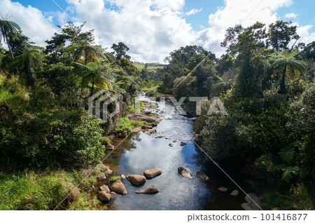 阿瑟頓高原的河流景觀 101416877