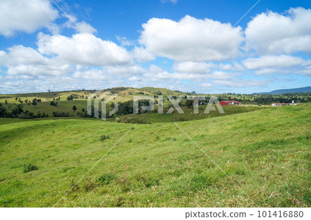 阿瑟頓高原鬱鬱蔥蔥的高地風光 101416880