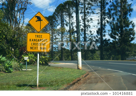 阿瑟頓高原上的樹袋鼠警告標誌 101416881