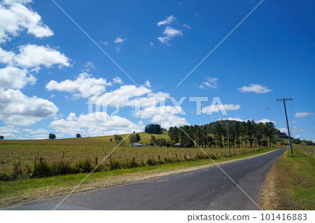 走在藍天澳大利亞鄉間小路上 101416883