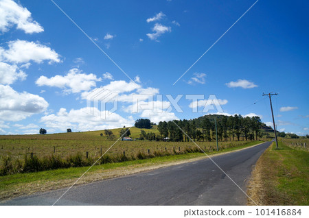 阿瑟頓高原上令人耳目一新的小徑 阿瑟頓高原上令人耳目一新的小徑 101416884