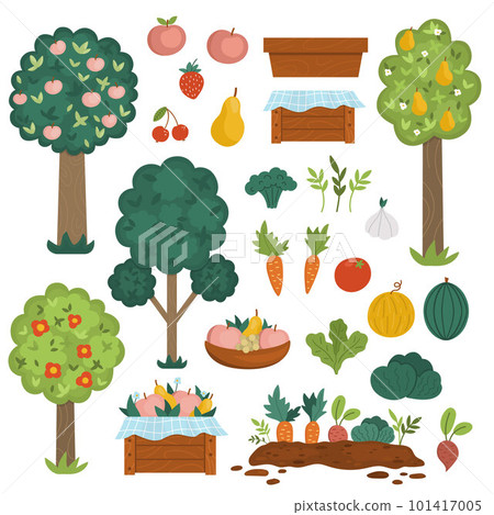Vector garden fruit trees and harvest collection. Vegetables and fruit icons set. Wooden boxes with harvest. Farm country pack with plants, berries, veggies. Apples, carrot, tomato illustration 101417005