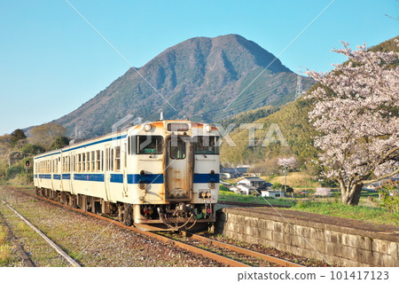 Hitahikosan Line, cherry blossoms and Kiha 40 at the mining station 101417123