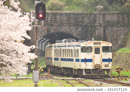 Hitahikosan Line, cherry blossoms and Kiha 40 at the mining station 101417124