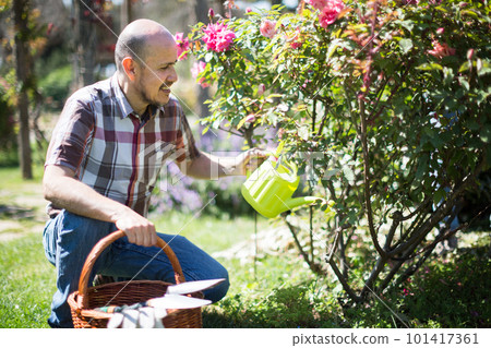 Family work in the garden. Woman and man grow roses Family work in the garden. Woman and man grow roses 101417361
