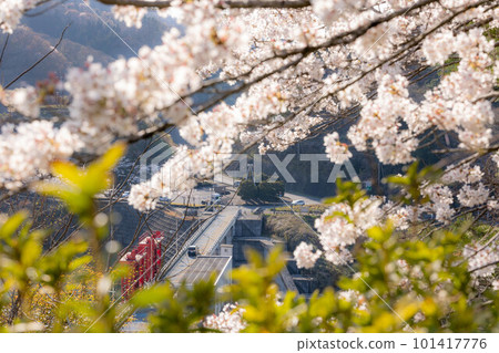 朱若全景公園 朱若全景公園 101417776