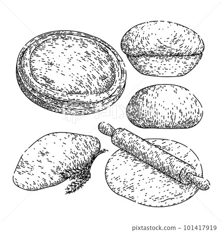 dough pizza bread set sketch hand drawn vector 101417919