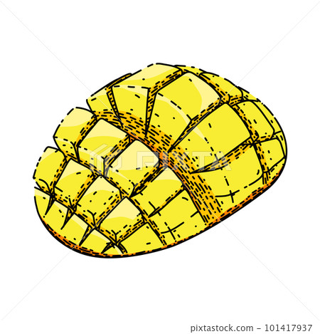 mango cubes fruit sketch hand drawn vector mango cubes fruit sketch hand drawn vector 101417937