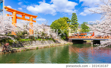 春天的京都、櫻花盛開的平安神宮大鳥居、琵琶湖運河 101418187