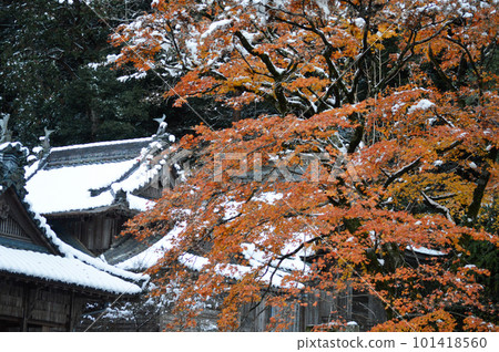 兵庫縣神崎郡上川町日生日吉神社的雪和秋葉 101418560