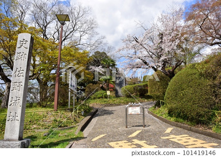 佐野市城山公園(佐野城跡) 步行道入口,櫻花盛開,綠意盎然 佐野市城山公園(佐野城跡) 步行道入口,櫻花盛開,綠意盎然 101419146