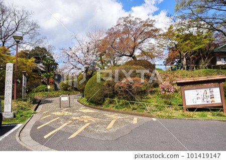 佐野市城山公園(佐野城跡) 步行道入口,櫻花盛開,綠意盎然 佐野市城山公園(佐野城跡) 步行道入口,櫻花盛開,綠意盎然 101419147