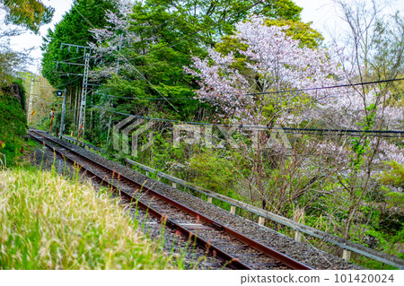 線路と桜 線路と桜 101420024