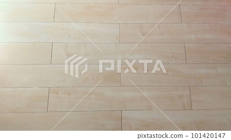 地板亮木紋 101420147