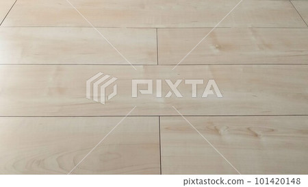 地板亮木紋 101420148