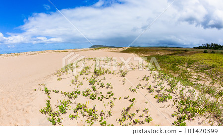 Beach Sand Dunes Ocean Coastline  101420399